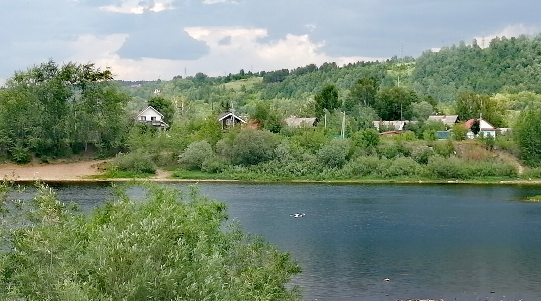 В реках Прикамья появилось пять новых видов рыб