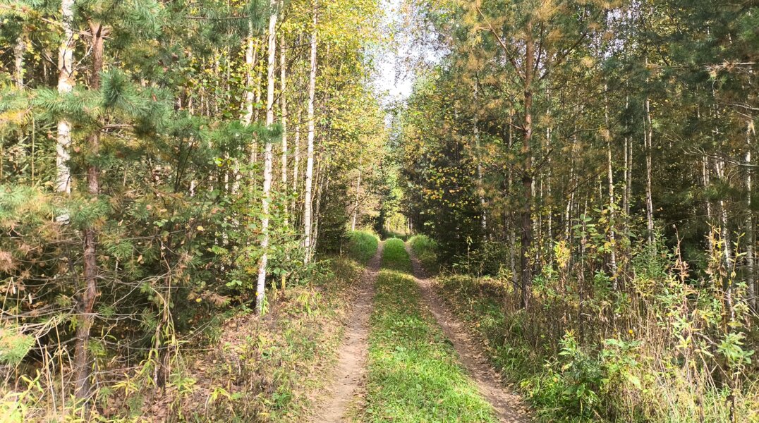 В Прикамье ищут пропавшего пенсионера из Свердловской области