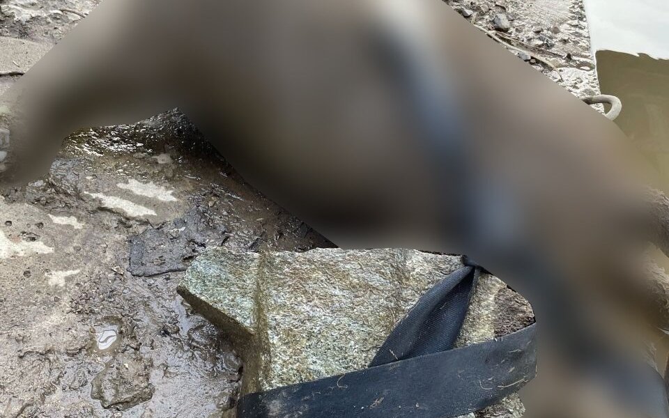 В Прикамье собаку привязали к камню и бросили в реку