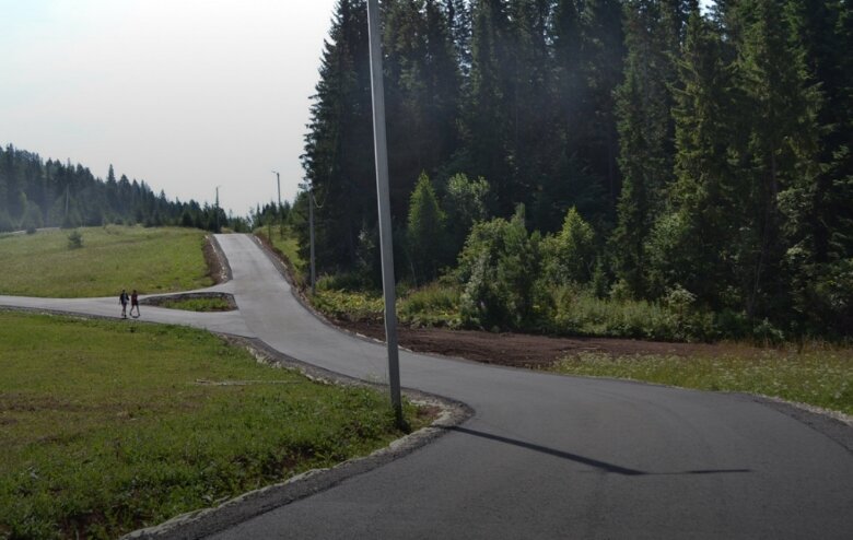 Этой осенью в Прикамье откроется лыжероллерная трасса