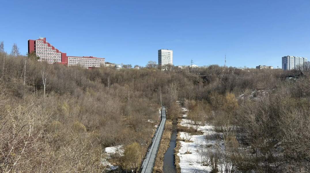 От свалки к уникальной экосистеме. Как за два года изменился экологический парк «Разгуляй»