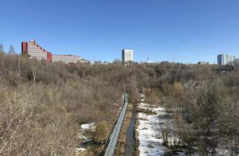 От свалки к уникальной экосистеме. Как за два года изменился экологический парк «Разгуляй»