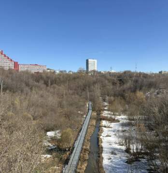 От свалки к уникальной экосистеме. Как за два года изменился экологический парк «Разгуляй»