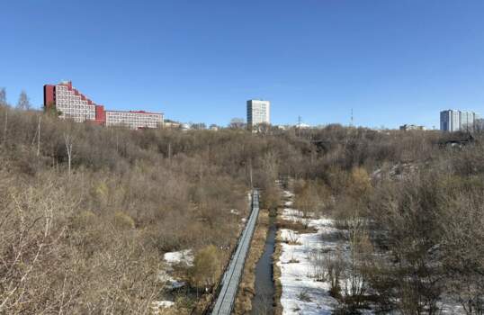 От свалки к уникальной экосистеме. Как за два года изменился экологический парк «Разгуляй»