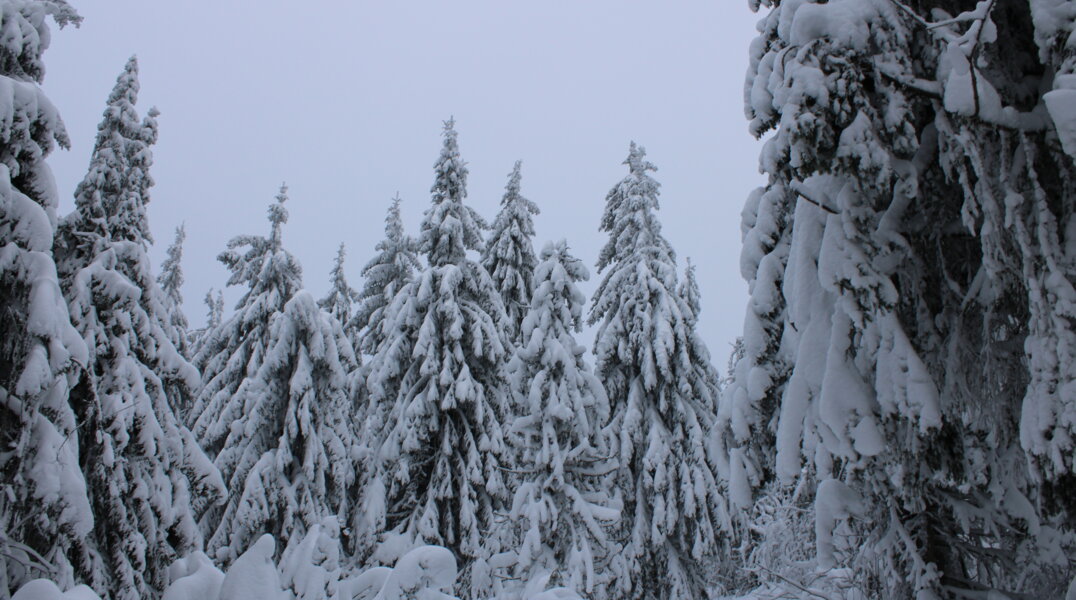 Экстремальные морозы и снегопады ожидаются в Перми