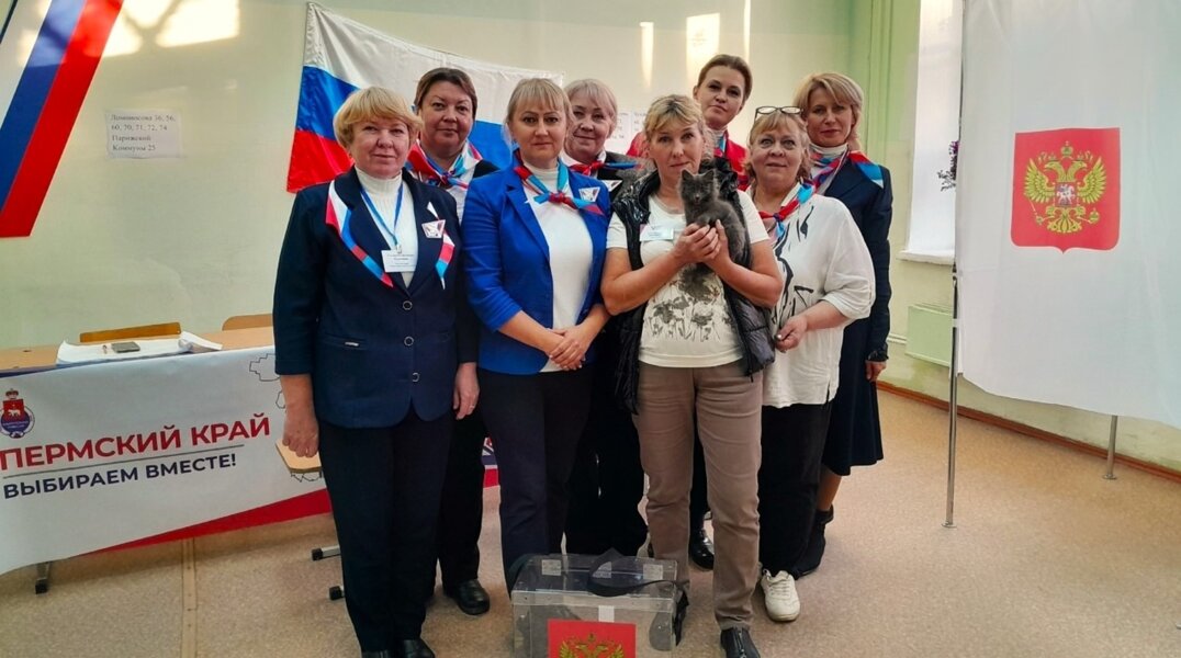 В Соликамском округе во время выездного голосования спасли котенка