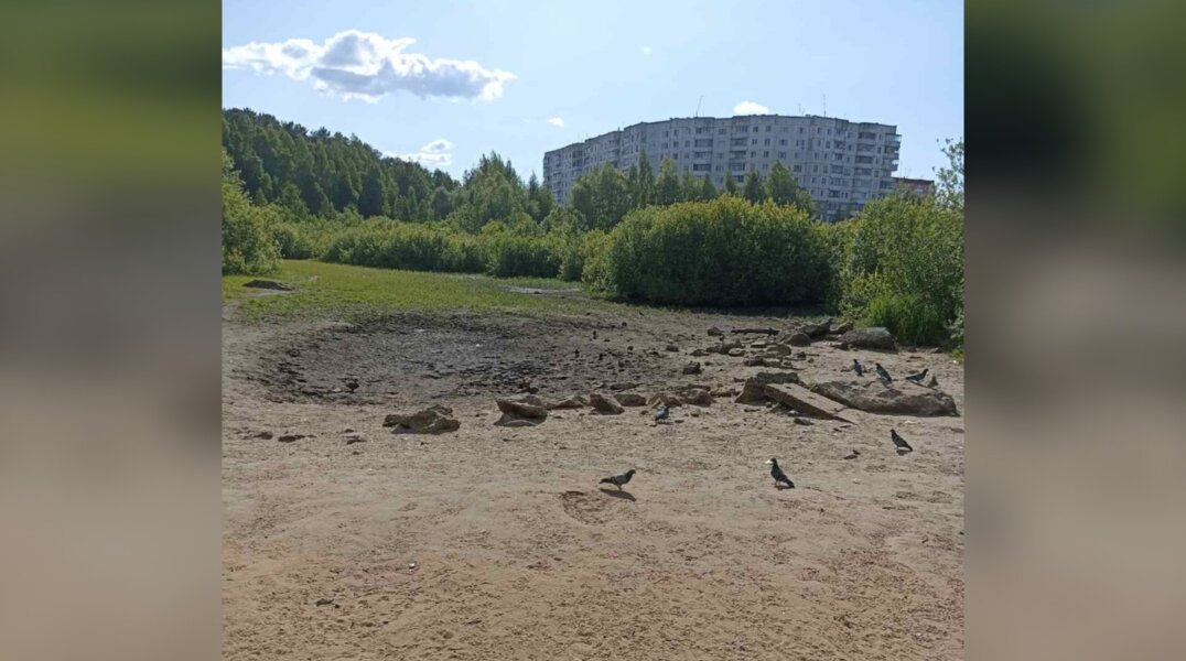 В Перми полностью высохло «Утиное болото»