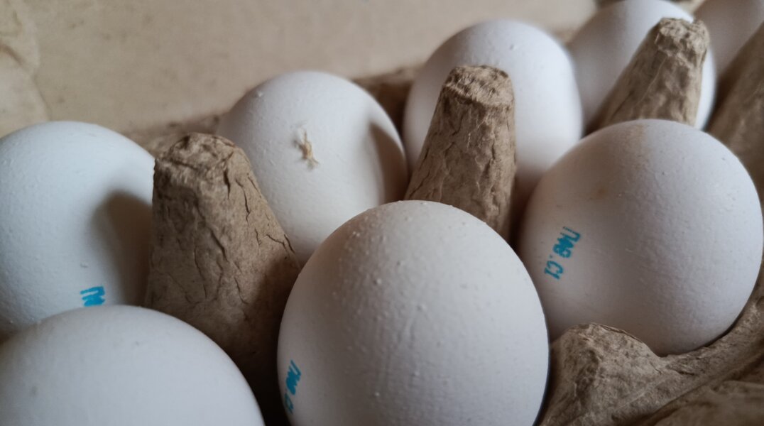 В Прикамье стоимость яиц выросла более чем на 8 процентов