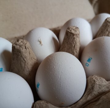 ​Пермское УФАС запретило торговым сетям поднимать цены на яйца перед Пасхой