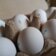 В Прикамье стоимость яиц выросла более чем на 8 процентов