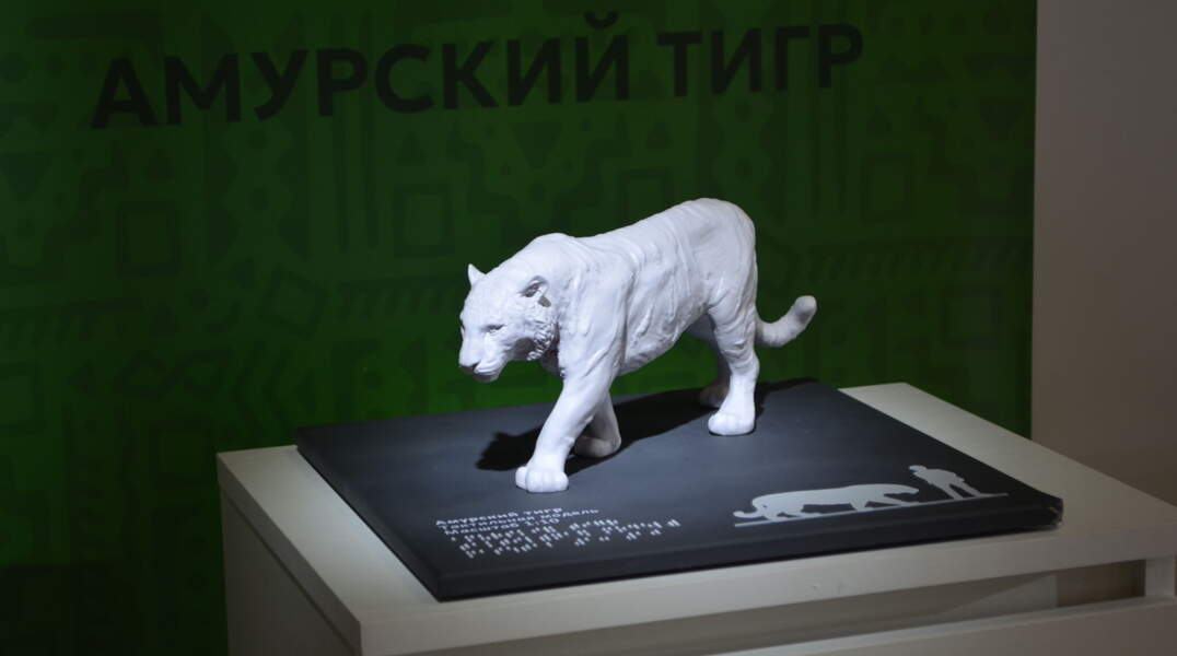В Пермском зоопарке открыли тактильный музей для слепых и слабовидящих