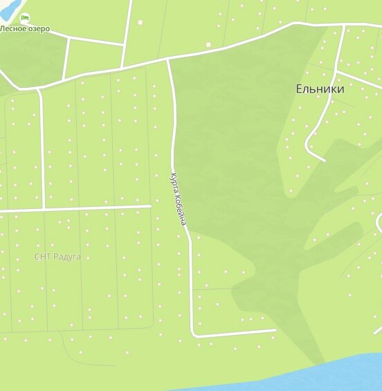 В Пермском крае нашли улицы, посвящённые культовым рок-музыкантам