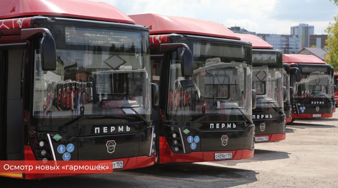 В Пермь прибыли 28 новых автобусов, 15 из них — «гармошки»