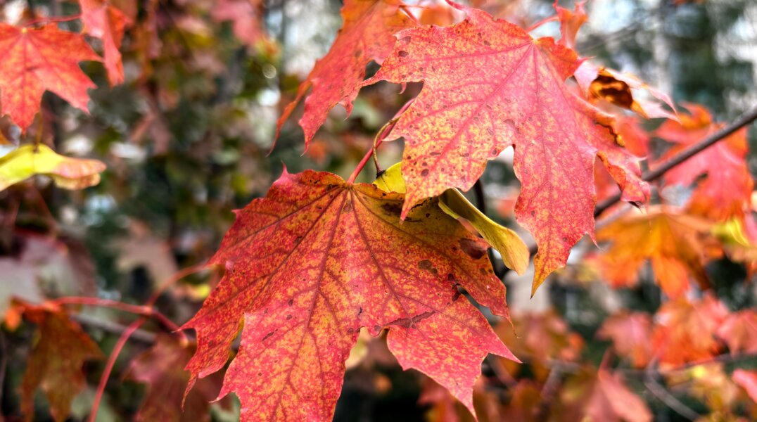 Пермяков ожидают теплые выходные