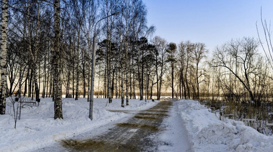 В Перми благоустроят «тополиную рощу» у дворца им. Кирова