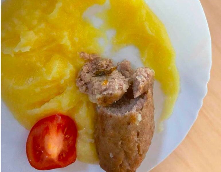 «Дети сами принесли мертвого таракана»: в пермской школе прокомментировали таракана в еде после поста Мизулиной