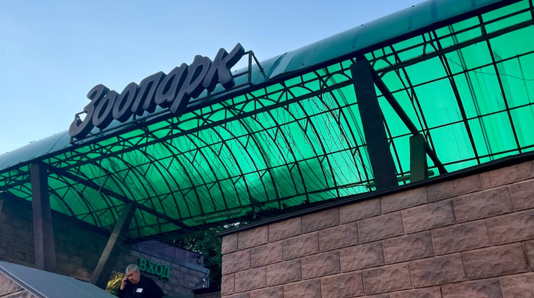 В пермском зоопарке готовят к переезду на новую площадку лошадей, орланов и парнокопытных