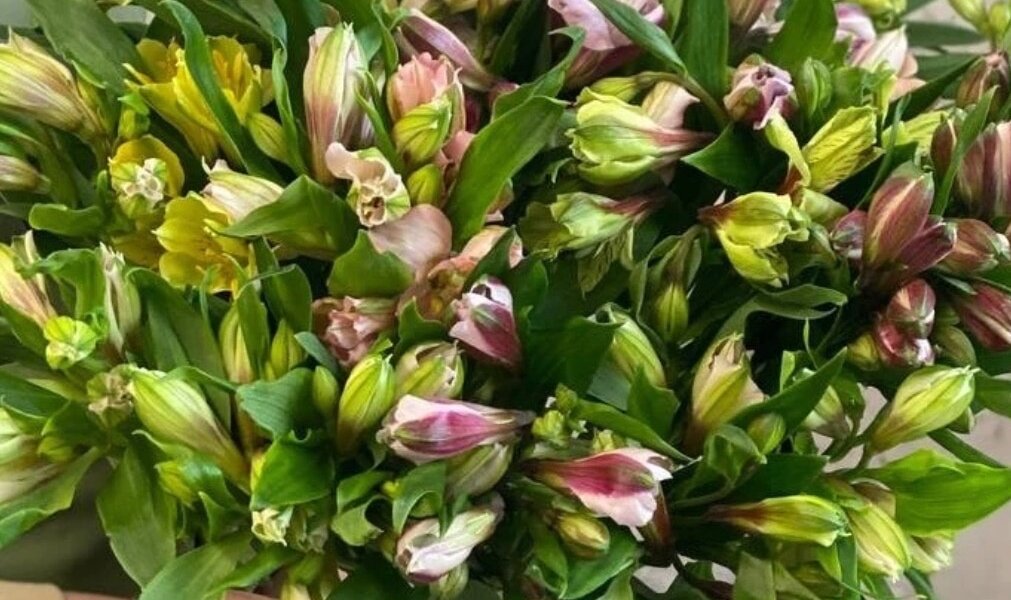 Чего хотят женщины: выбираем небанальный букет на 14 февраля