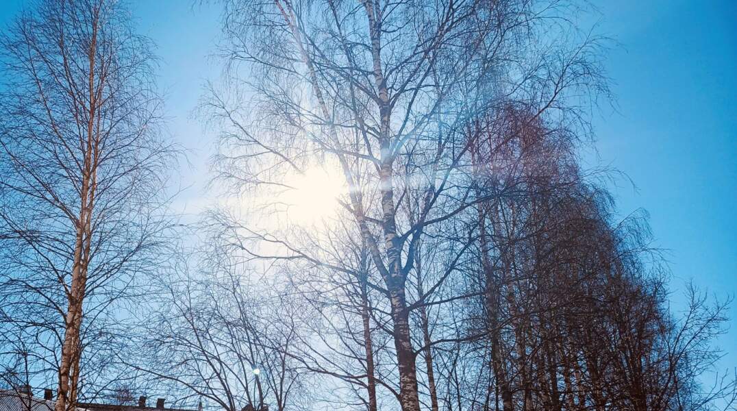 В выходные в Пермском крае значительно потеплеет