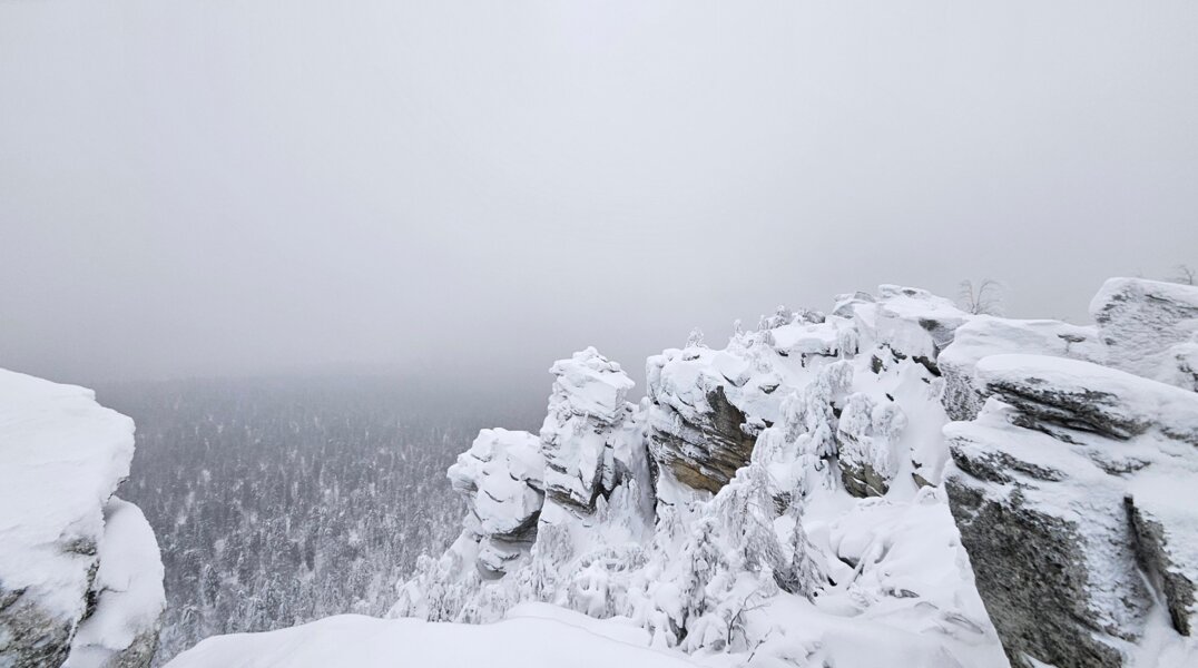Студенты-программисты из Москвы работали над 3D моделью экспонатов заповедника Вишерский