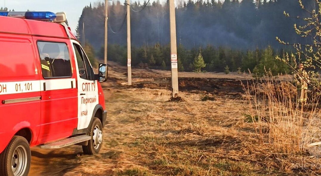 С начала весны в Пермском крае ликвидировали 236 ландшафтных пожаров