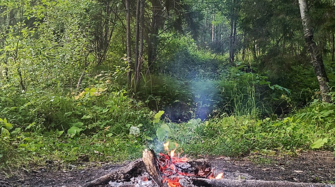 С начала августа в Прикамье произошло десять лесных пожаров