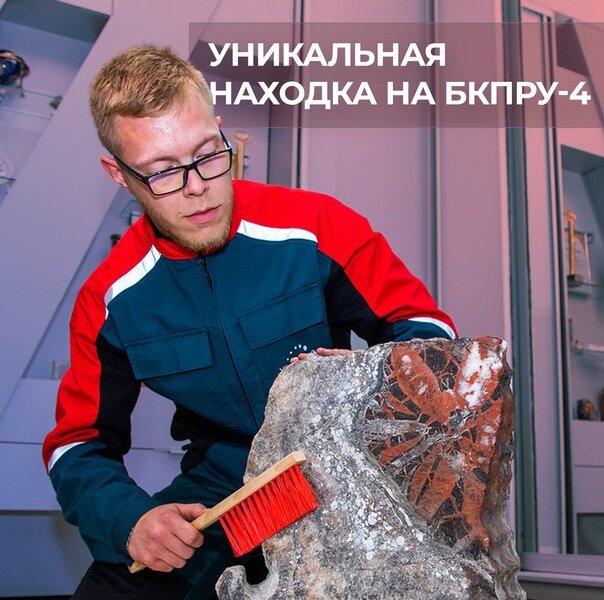 В Пермском крае в стене рудника обнаружили "цветок" из окаменелого дерева