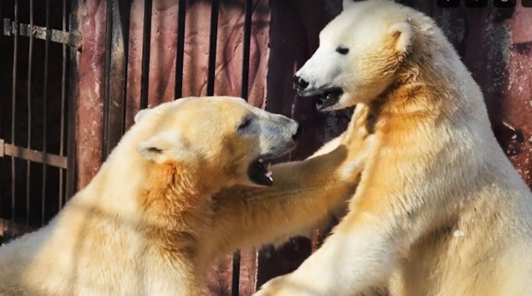 Два пермских видеоролика вошли в число победителей фестиваля геобрендов «Земля открытий»