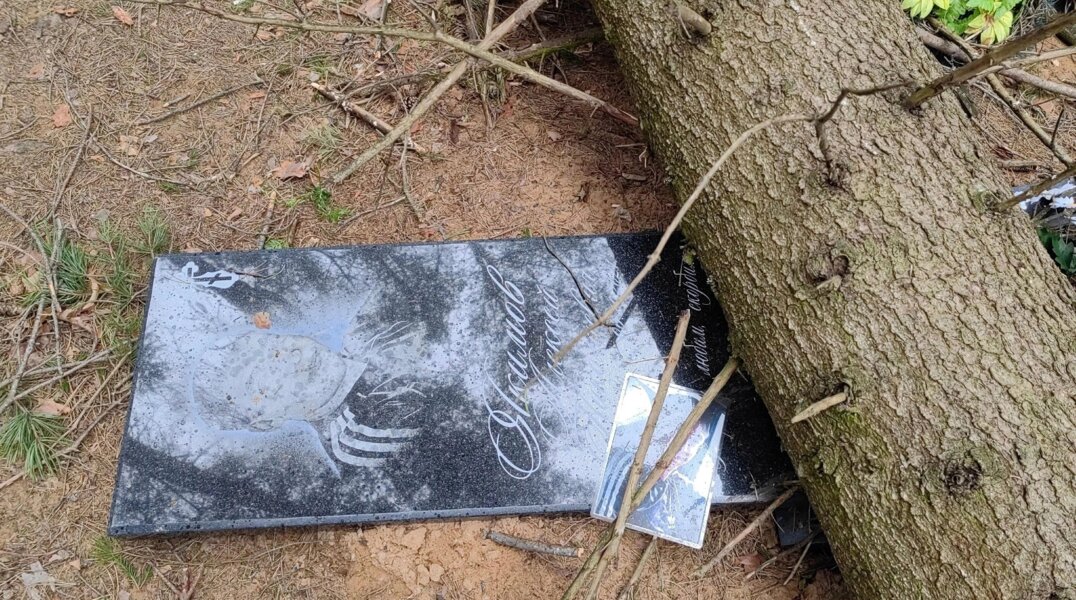 Власти Березников не будут помогать родственникам восстанавливать памятники после обрушения дерева