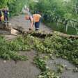 Коммунальщики расчистили крупные завалы на дорогах Березниковского и Соликамского округов