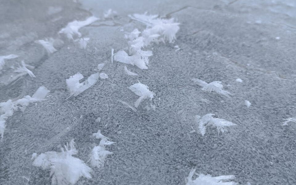 На реке Чусовой в Пермском крае начали образовываться «ледяные цветы»