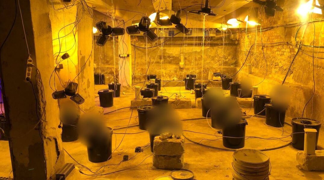 Житель Прикамья обустроил в своем подвале наркоферму с коноплей