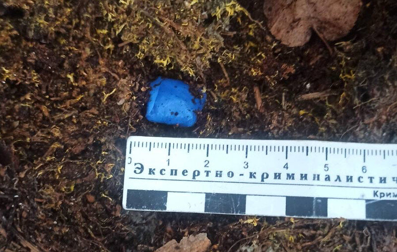 В Пермском крае у закладчицы нашли 39 пакетиков с тяжелыми наркотиками