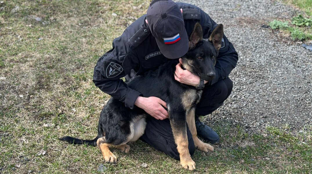 С начала 2024 года сотрудники пермского ОМОН и их четвероногие товарищи нашли более 14 кг взрывчатки