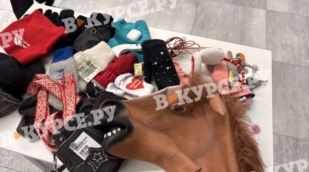 В Перми среди потерянных на «Экспо-катке» вещей обнаружили резиновую голову коня