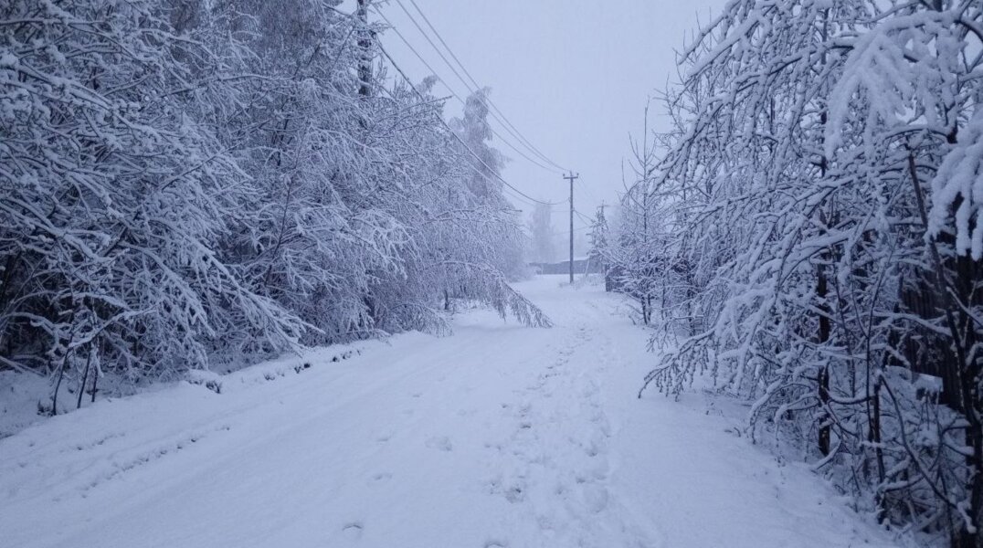 Трассу Пермь-Екатеринбург перекрыли для автобусов и большегрузов из-за сильного снегопада