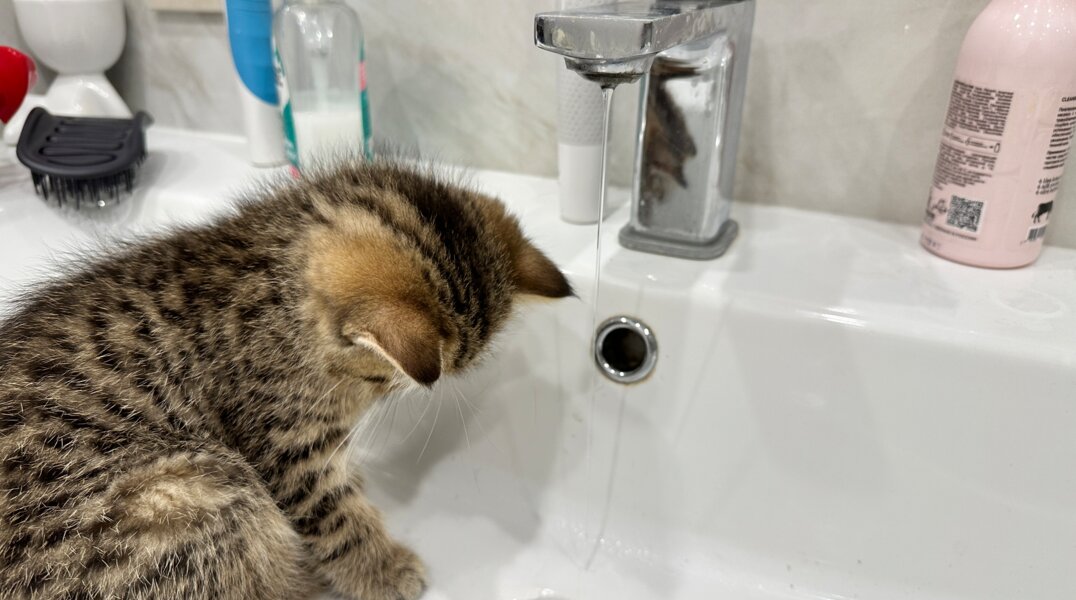 Холодную воду отключат в воскресенье в трёх районах Перми