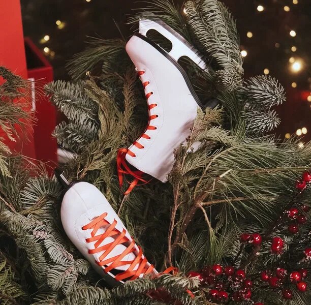 В Пермском крае стартовал отбор на проект для фигуристов-любителей под руководством Ильи Авербуха