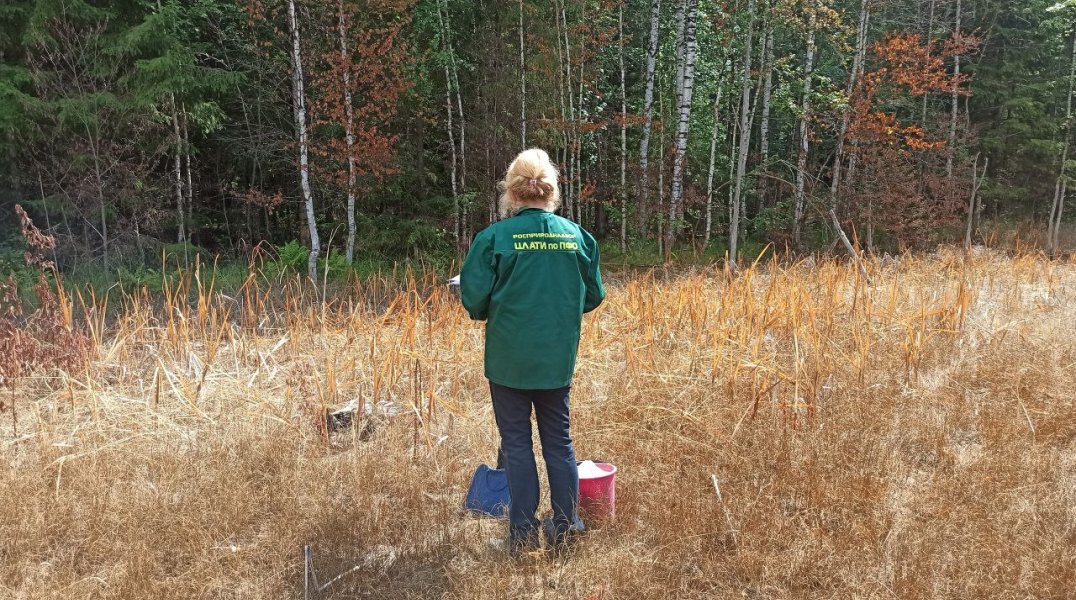 Охотник за черным металлом заплатит 89 млн рублей за масштабное загрязнение почвы в Соликамске