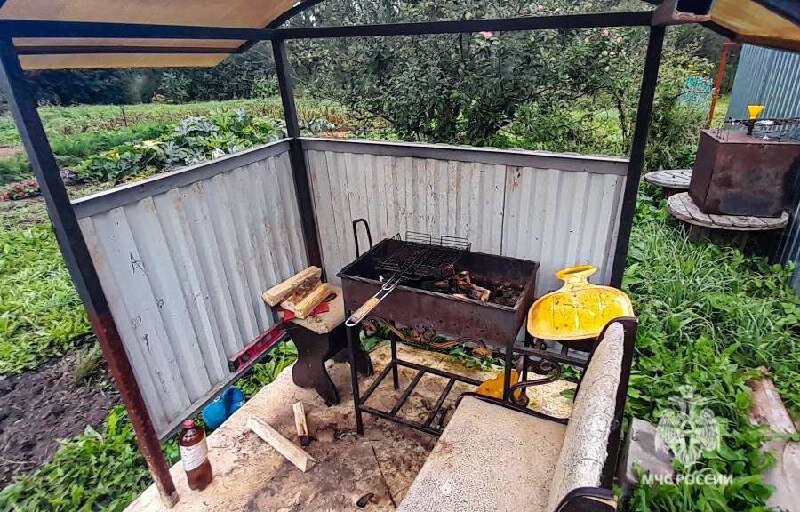 В Прикамье отец едва не спалил 2-летнего сына во время жарки шашлыков