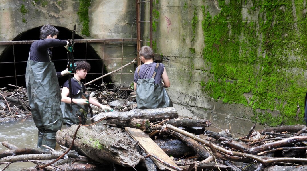 Пермяков научат собирать трухлявые заповедники