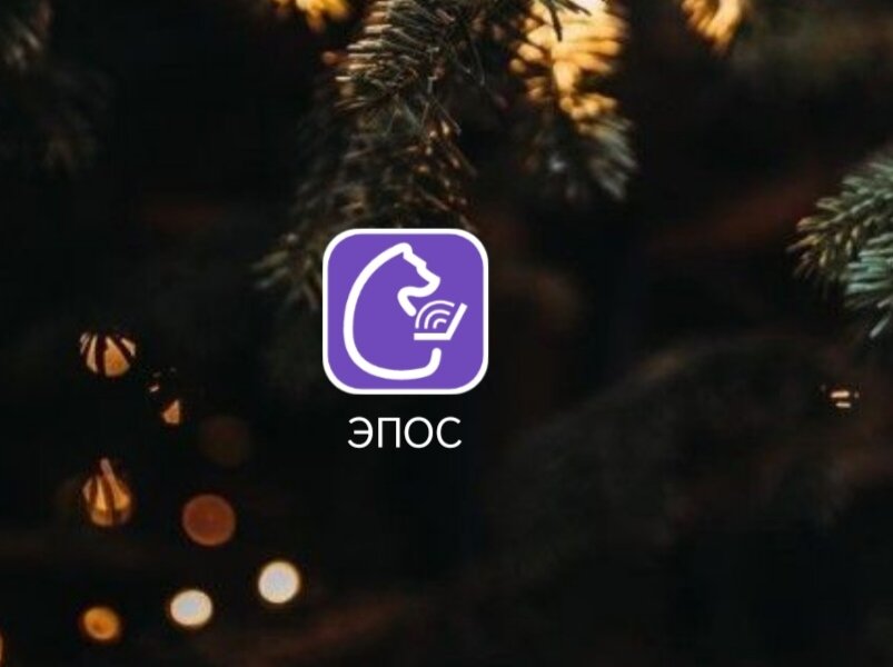 Приложение ЭПОС в Прикамье на несколько дней будет недоступно из-за технических работ