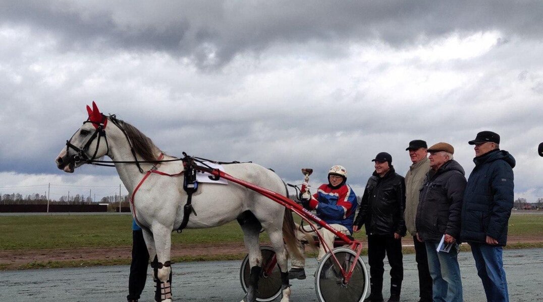 В Пермский край приедут призовые рысаки со всей России