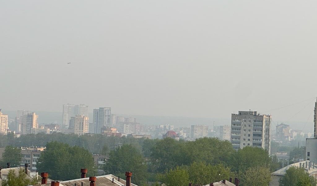 До Пермского края дошел дым от лесных пожаров