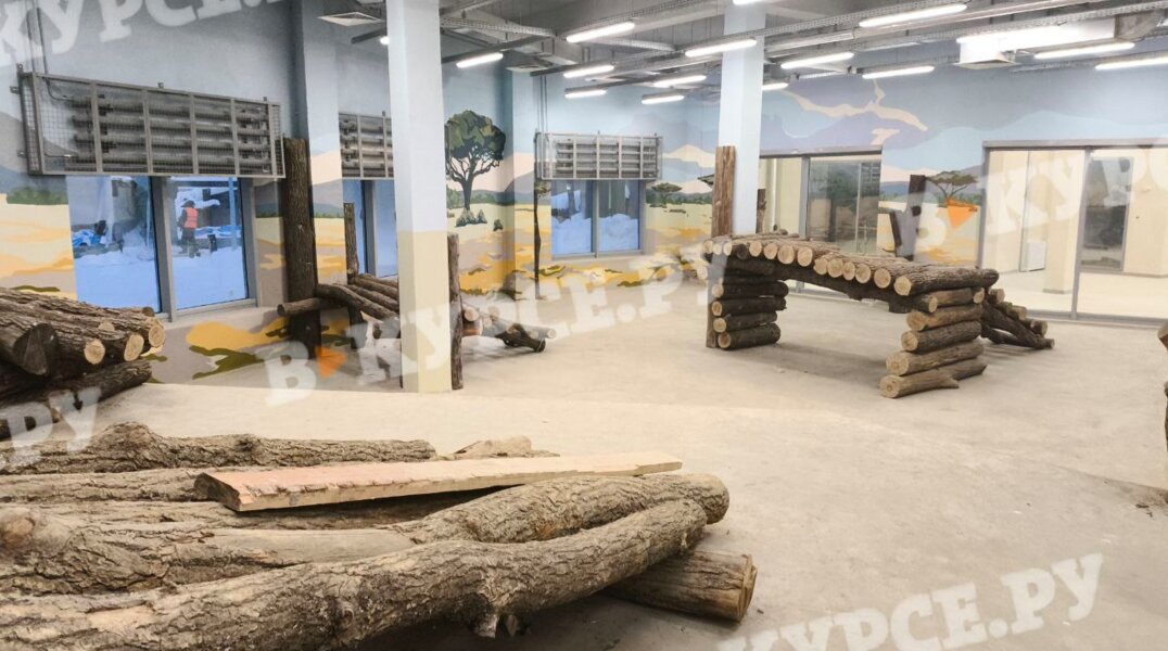 Вольеры для львов в новом Пермском зоопарке сдадут до конца зимы