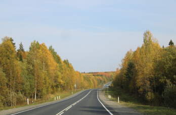 Через Прикамье пробегут и проедут участники проекта «Бабиновский тракт — Зов предков»