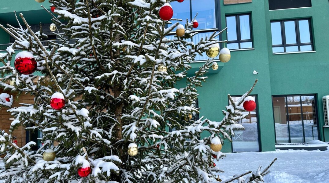 Пермяков попросили не красть игрушки с городских елок