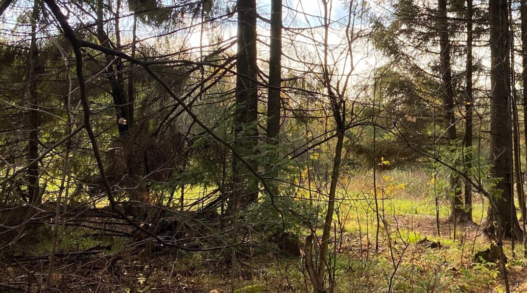 Пропавший 69-летний мужчина из Прикамья найден мертвым