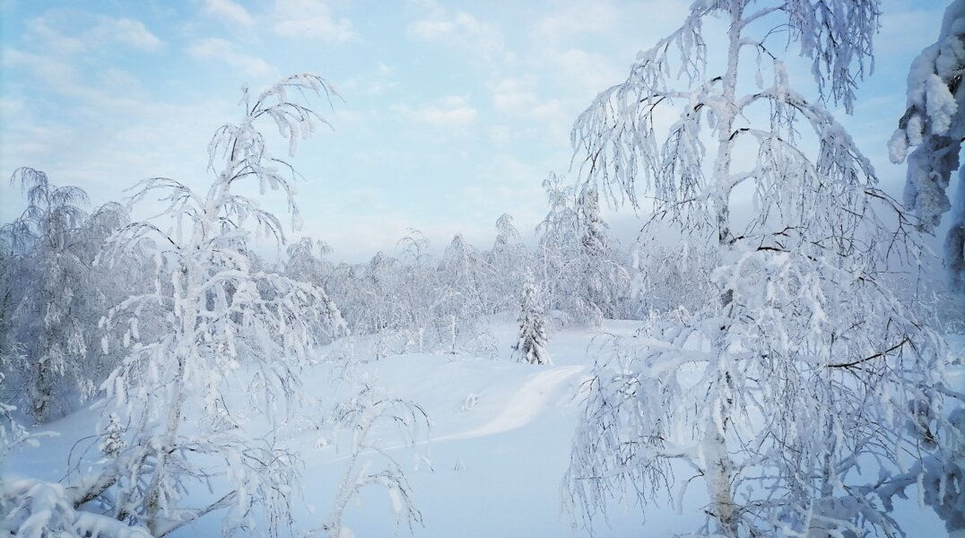 Пермский гидрометцентр объявил штормовое предупреждение