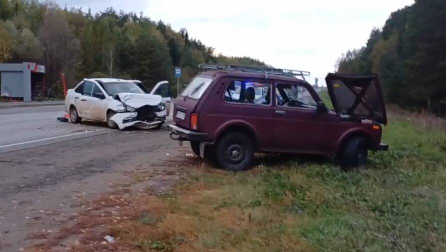 В Прикамье в результате аварии пострадали женщина и трое детей